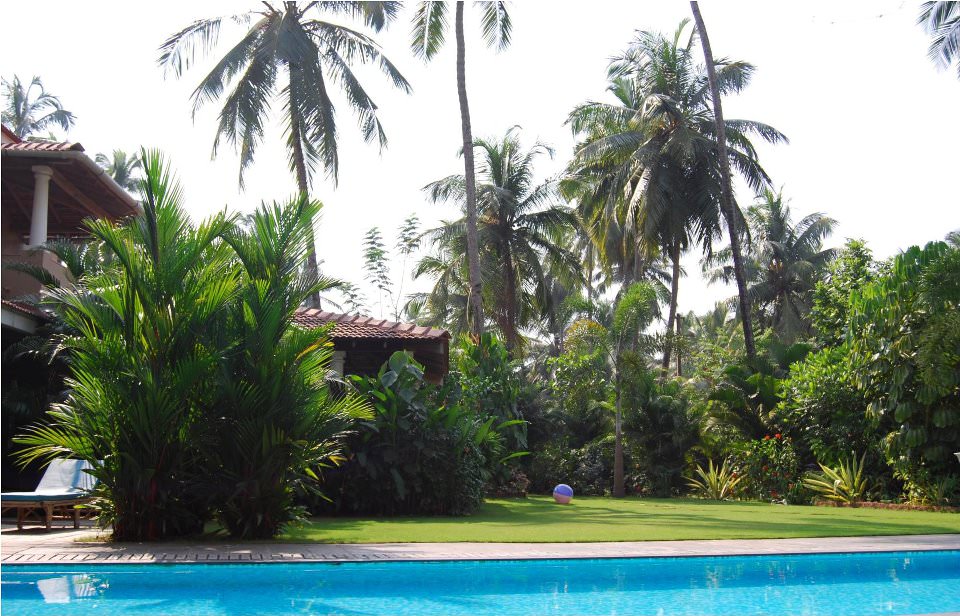 Villas in Goa, Villa Nimaya - Garden