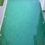 Clean Pool