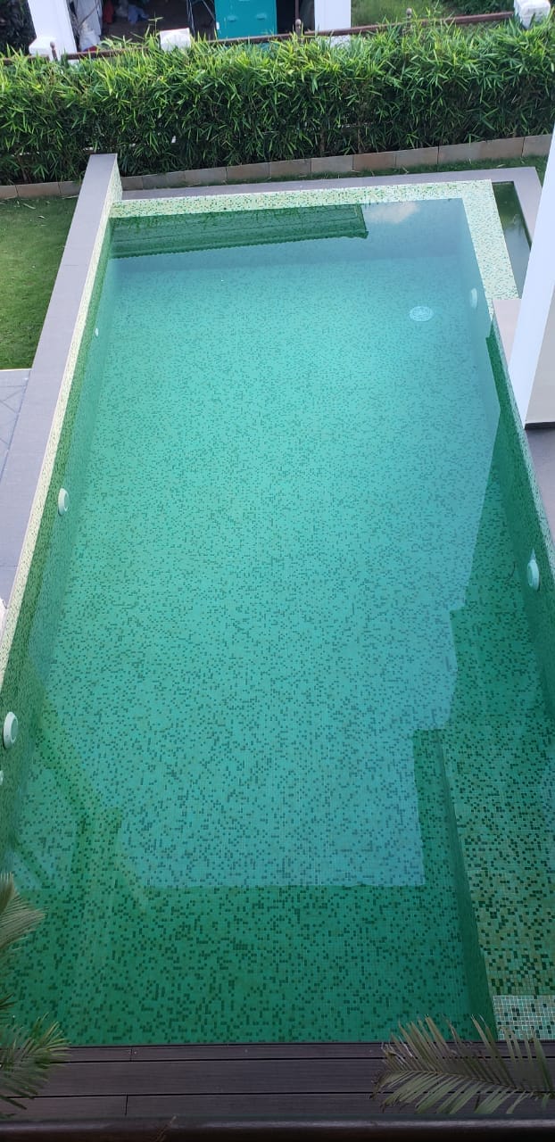 Clean Pool